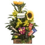 ancheta girasoles
