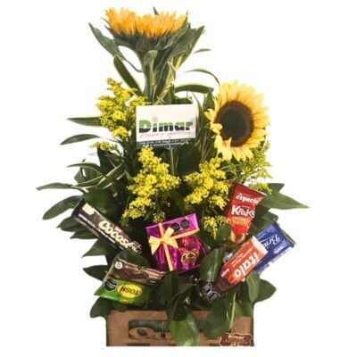 ancheta girasoles