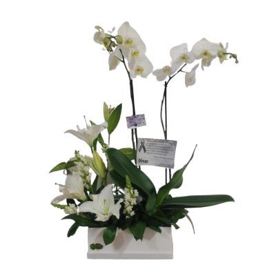 Caja con orquídeas y lirios