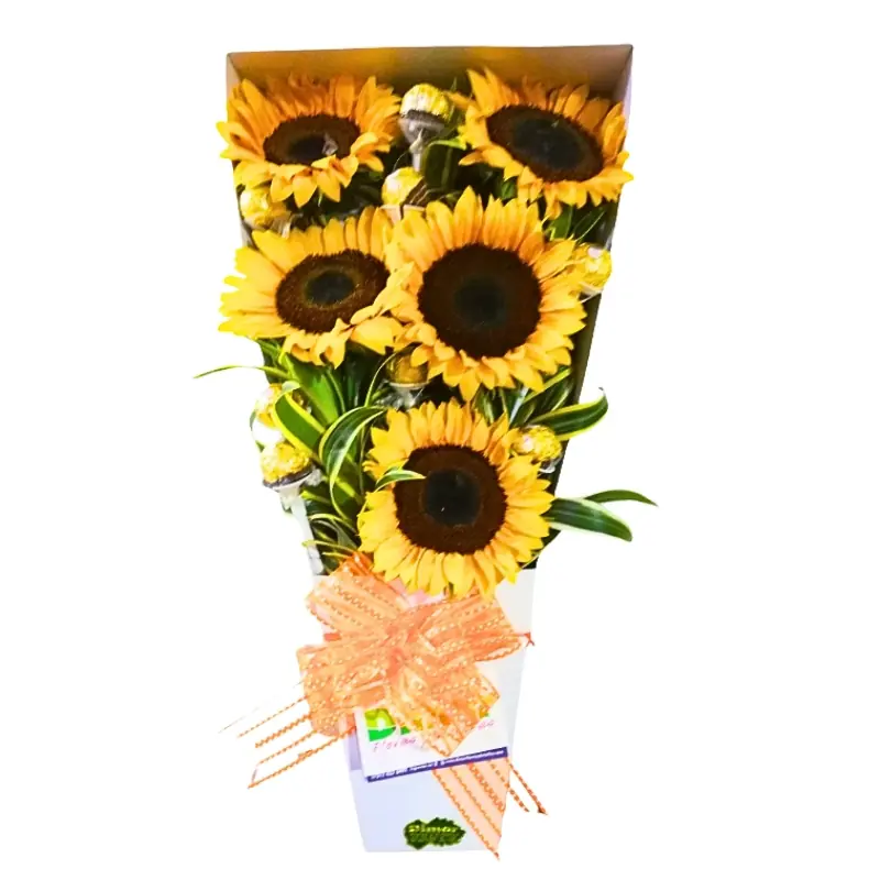 CAJA CON GIRASOLES Y CHOC. (CB1209 $130.000)