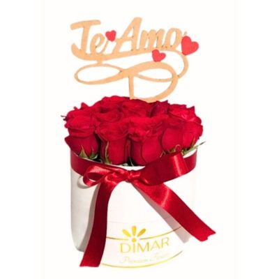 sembrado rosas rojas