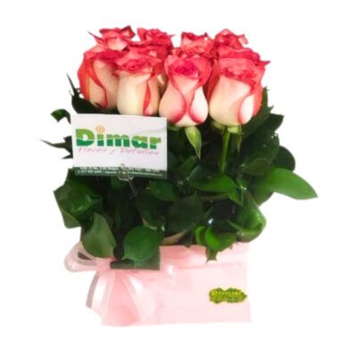 sembrado rosas