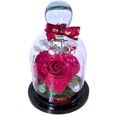 Rosa Preservada