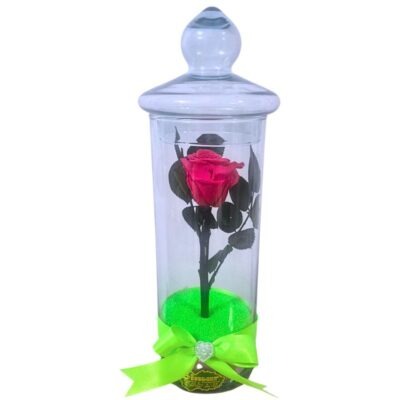 Rosa Preservada
