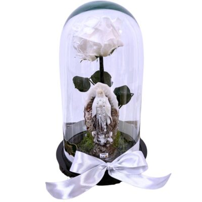 Rosa Preservada blanca