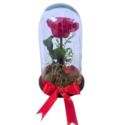 Rosa Preservada