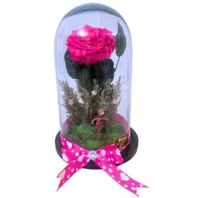 Rosa Preservada
