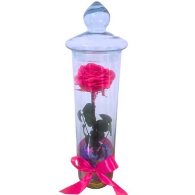 Rosa preservada