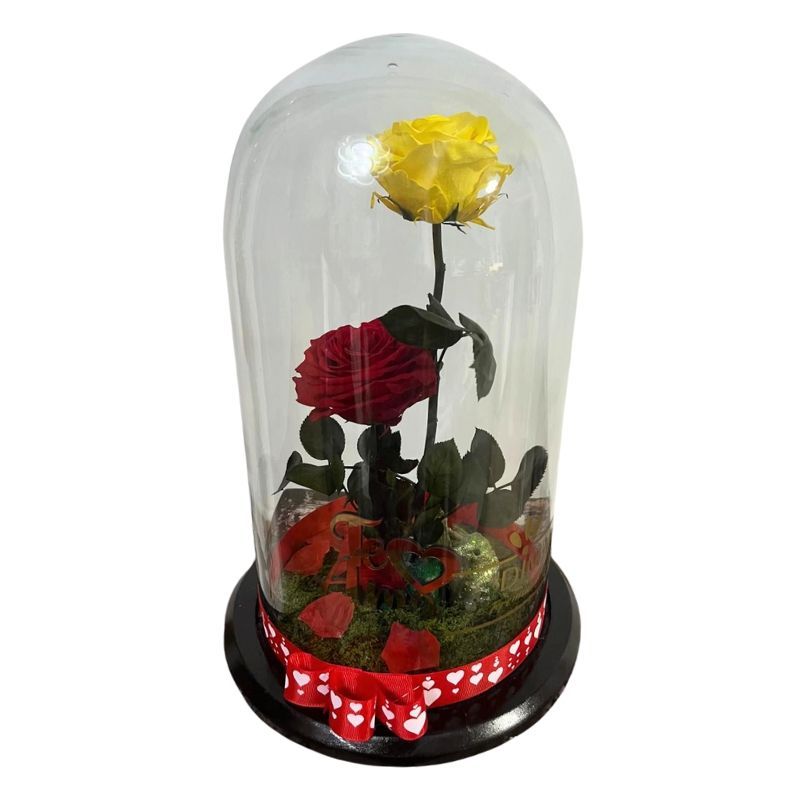 rosa preservada