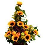 FRUTERO GIRASOL