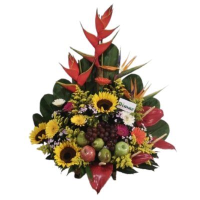 EXOTICO CON FRUTAS (FP1701 $170.000)