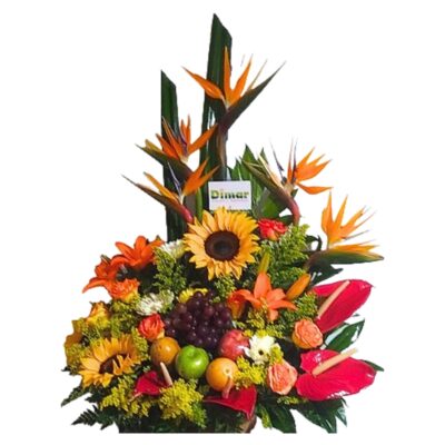 EXOTICO CON FRUTAS (FP1803 $180.000)