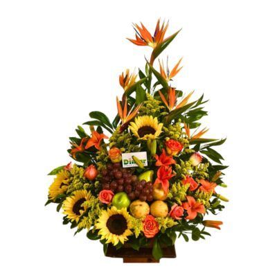 EXOTICO CON FRUTAS (FP2101 $210.000)