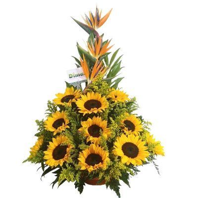 ARREGLO CON GIRASOLES (NI1502$150.000)