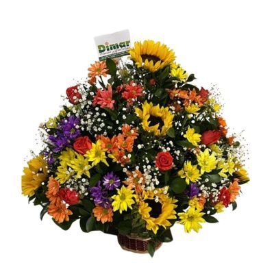TROPICAL REDONDO (NI1804 $180.000)