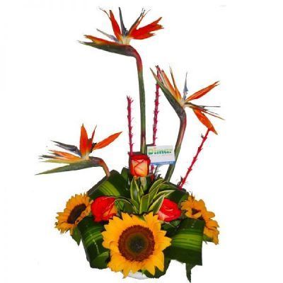 GIRASOLES-ROSAS (NI605$65.000)