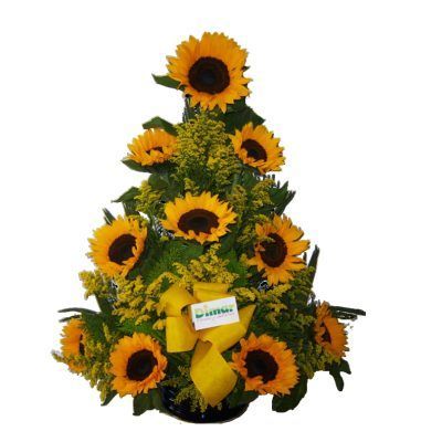 GIRASOLES (NI1201 $120.000)