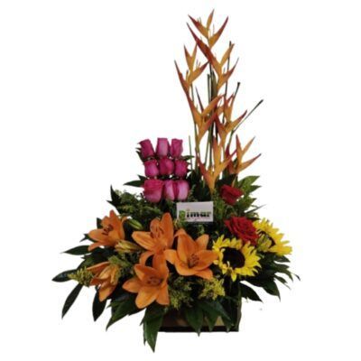 ARREGLO EXOTICO (NI1207$120.000)