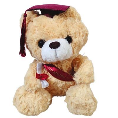 Oso de peluche de grado