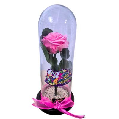Rosa Preservada