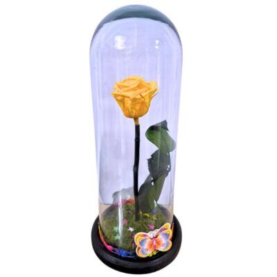 Rosa Preservada