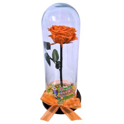 Rosa Preservada