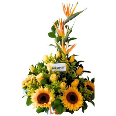 Flores amarillas y girasoles