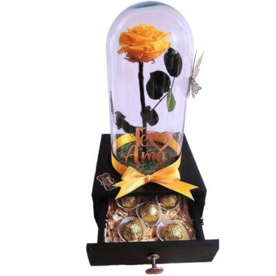 Rosa premium